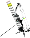 Compound Bow