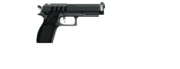 Pistol