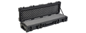 Weapon Case